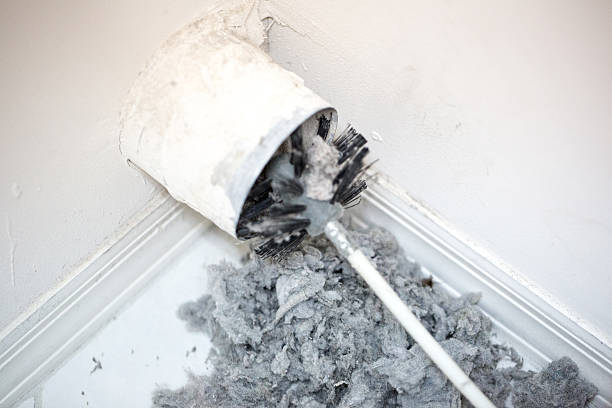 Air Duct Mold Removal in Ladson, SC